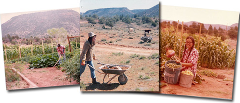 Tessa gardening in Sedona 1968