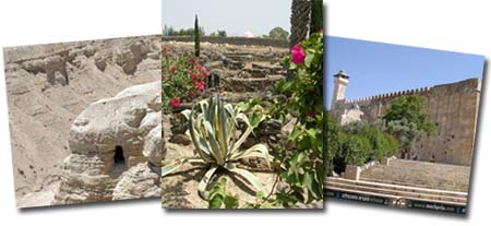 Qumran cave, Capernaum, and the Tomb of Abraham and Sarah